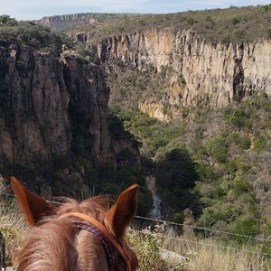 Meet your Posher, Jose ignacio